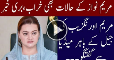 Maryam Aurangzab Media Talk | Geo News TV
