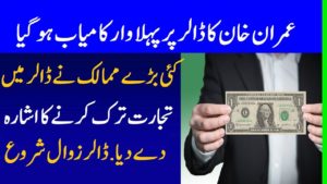 A Brave Decision Of Prime Minister Imran Khan Deal With China In Local Currency Instead of Dollar