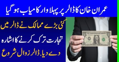 A Brave Decision Of Prime Minister Imran Khan Deal With China In Local Currency Instead of Dollar