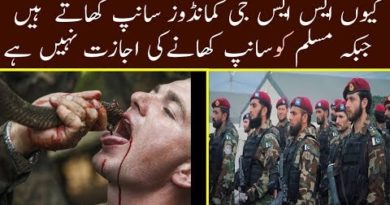 Why SSG Commandos Eat Snakes during the Training in Pakistan