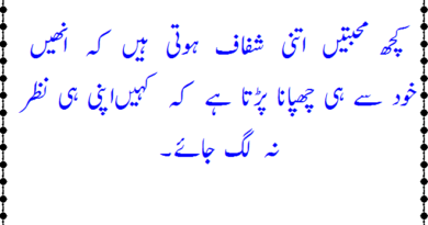 New poetry in urdu-best urdu poetry in the world-Urdu love poetry