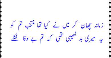Sad poetry in urdu-sad shayari urdu-sad poetry in urdu 2 lines-sad poetry