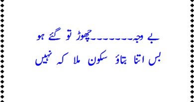 best poetry ever in urdu-top urdu poetry-urdu language poetry