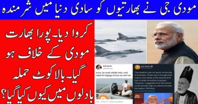 Pm modi Exposed His Own Air Force Capability In His Recent Interview