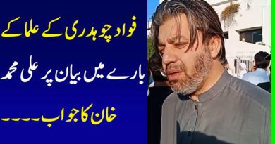 PTI Ali Muhammad Khan Response On Fawad Chaudhry Statement About Ullama
