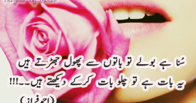 loving poetry in urdu-urdu poetry love-urdu shayari on love-urdu poetry