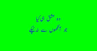 love romantic poetry- Love couple poetry- love poetry sms- 2 line urdu love shayari.
