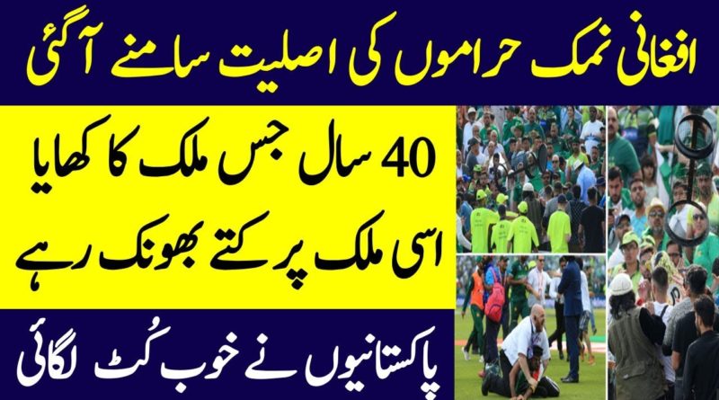 Afghani Namak Haramo Ki Asliyat | Pakistan VS Afghanistan Cricket