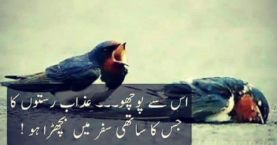 sad shayari in urdu-sad poetry in urdu 2 lines- full sad poetry