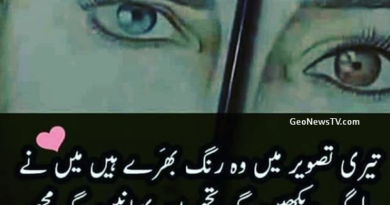 romantic poetry in urdu- Romance Urdu poetry-amazing poetry