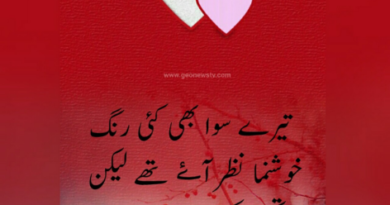 Love couple poetry- love poetry sms- 2 line urdu love shayari