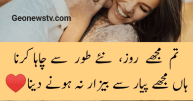 2 line urdu love shayari- Love poetry- shayari urdu love