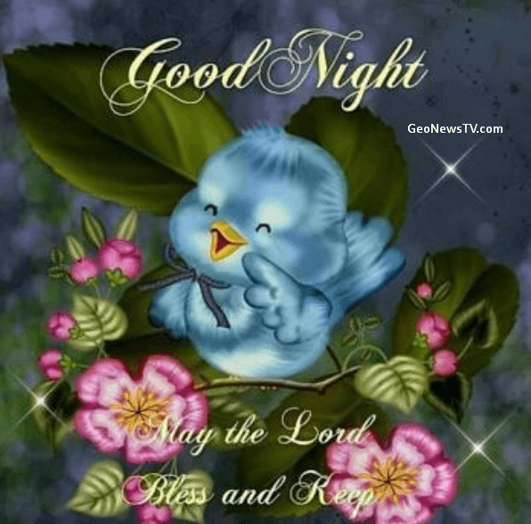 GOOD NIGHT IMAGES WALLPAPER PICTURES DOWNLOAD