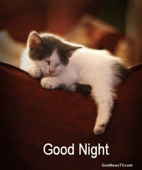 GOOD NIGHT IMAGES WALLPAPER PICS PHOTO PICTURES FREE HD DOWNLOAD