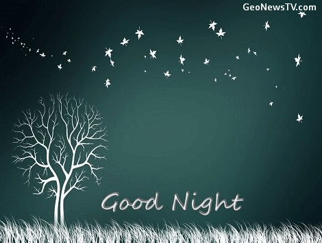 Good Night Images Wallpaper Photo for Lover Free Download