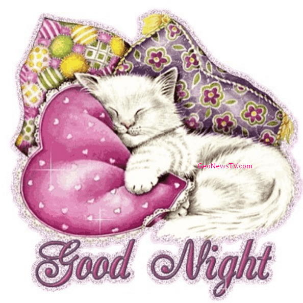 GOOD NIGHT IMAGES HD DOWNLOAD FOR WHATSAPP & FACEBOOK