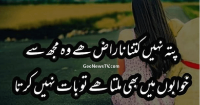 Poetry Sad- Sad Love Poetry in Urdu- Amazing Poetry