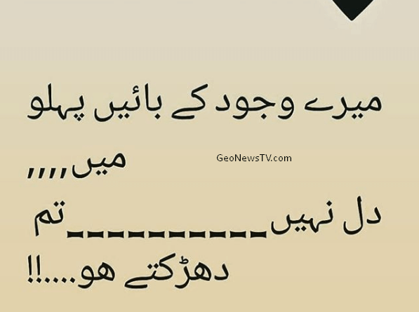 Shayari Urdu Love- Poetry in Urdu on Love-Amazing poetry