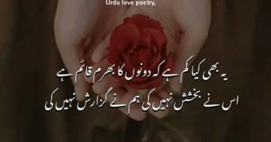 Amazing Poetry- Best Poetry Ever- New Poetry in Urdu