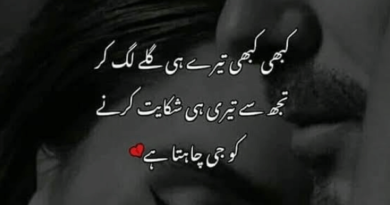 Poetry in Urdu on Love- Urdu Shayari on Love-Amazing Poetry