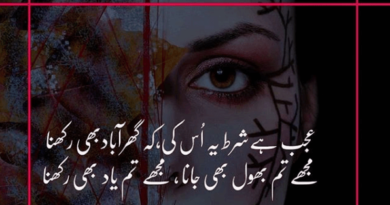 Amazing Poetry-Best Poetry Ever-New Poetry in Urdu