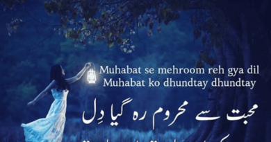 Love Poetry SMS- Shayari Urdu Love-Amazing Poetry