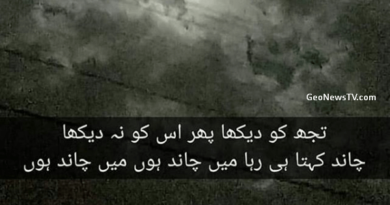 Amazing poetry- Shayari Urdu Love- Poetry in Urdu on Love