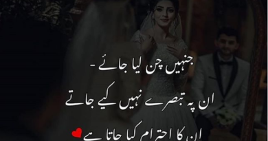 Poetry in Urdu on Love-Urdu Shayari on Love-Amazing Poetry