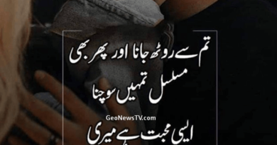Shayari Urdu Love-Poetry in Urdu on Love-Amazing Poetry in urdu
