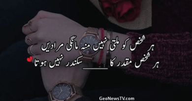 Amazing Poetry-Sad Love Poetry in Urdu-Poetry Sad
