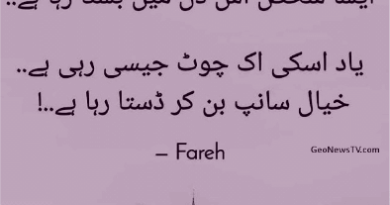 Sad poetry in urdu 2 lines-full sad poetry-sad shayari in urdu