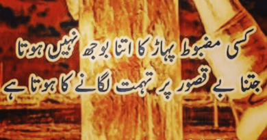 Latest Urdu Quotes-Amazing Urdu Quotes-Urdu Quotes