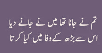 Urdu shayari on love-Latest Poetry-Love poetry images-Amazing Poetry