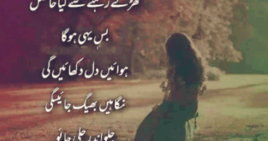 Sad poetry sms in urdu-Poetry sad-Sad urdu shayari-Amazing Poetry