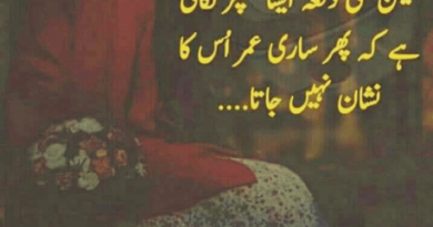 Urdu quotes for human-Amazing Urdu Quotes-Latest urdu quotes
