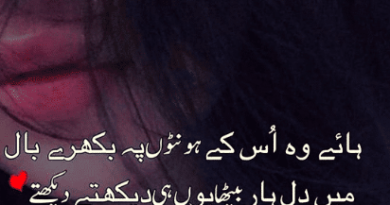 Romantic urdu shayari-Urdu sms-urdu sms poetry-shayari love romantic