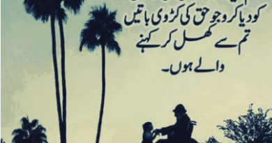 Urdu Quotes Images-Islamic Urdu Quotes-Amazing Urdu Quotes