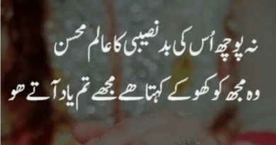 Amazing Poetry- Sad Love Poetry in Urdu- Poetry Sad-Dard Bhari Shayari