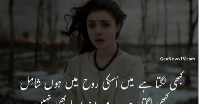 Sad poetry in hindi-Girlfriend shayari sad-Sad romantic shayari