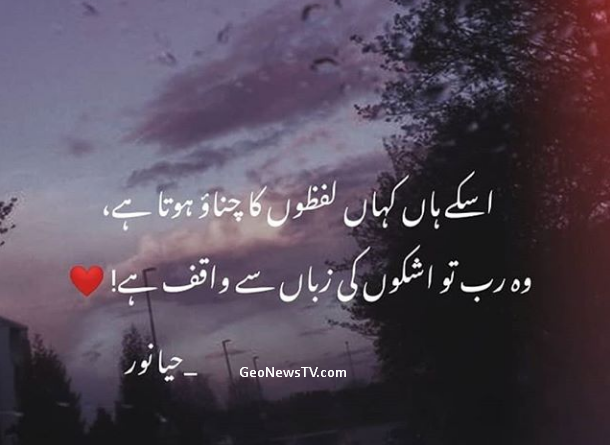 Urdu shayari images sad-Best love shayari in urdu-Nida fazli shayari