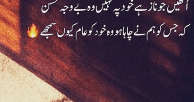 Urdu shayari-Amazing poetry-Girlfriend shayari in urdu-Best urdu poetry