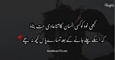 Urdu quotes in hindi-Aqwal zareen-Amazing quotes in urdu