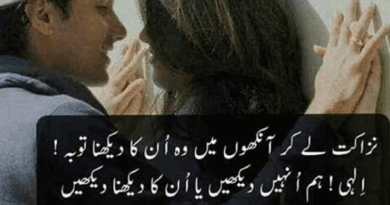 Urdu shayari on love-urdu shayari for love-urdu shayari love