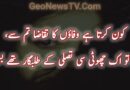 Sad Urdu Love Poetry-Sad Love Poetry in Urdu
