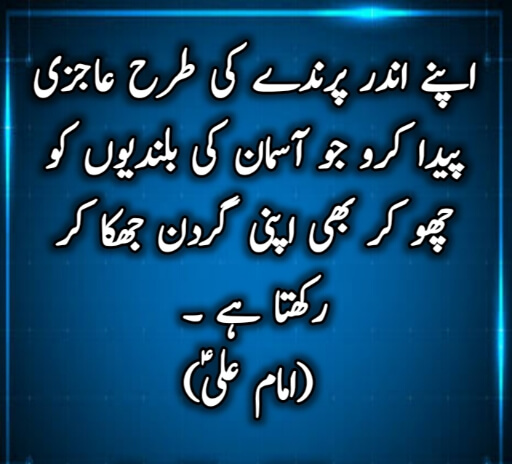 hazrat ali quotes in urdu