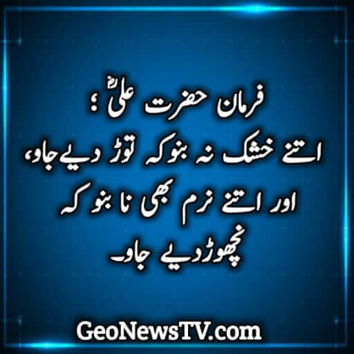 hazrat ali quotes in urdu