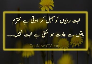Poetry in urdu 2 lines - 2 lines poetry - Attitude Shayari Urdu