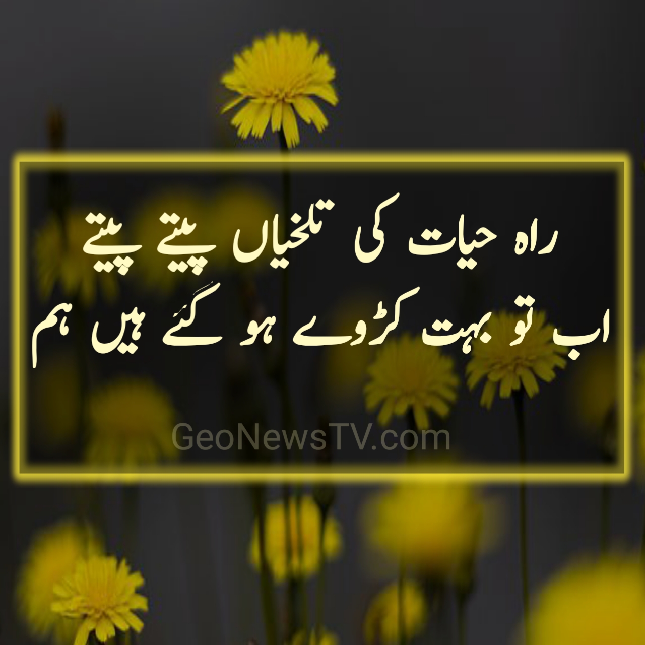 Sad poetry in urdu about love- Sad urdu shayari- Dard Shayari |