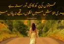 Love poetry in urdu sad 2 line