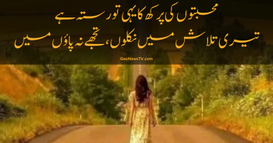 Love poetry in urdu sad 2 line